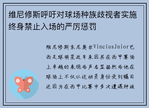 维尼修斯呼吁对球场种族歧视者实施终身禁止入场的严厉惩罚