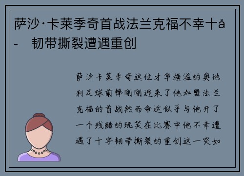 萨沙·卡莱季奇首战法兰克福不幸十字韧带撕裂遭遇重创